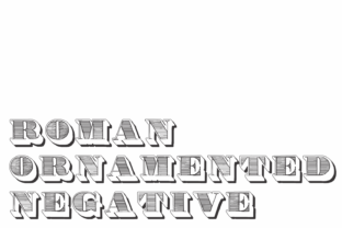 Exploring the Aesthetic and Functional Value of Roman Ornamented Designs