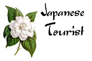 Japanese Tourist Insights