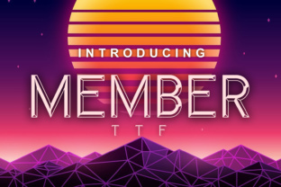 Member: A Comprehensive Overview for Professionals and Entrepreneurs