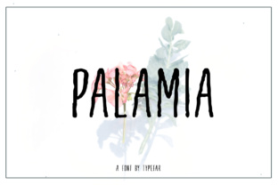 Palamia: Creative Possibilities
