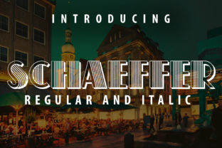 Schaeffer: A Deep Dive into Its Value and Practical Applications