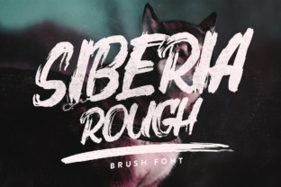 Siberia Rough: A Deep Dive into Its Unique Qualities and Applications