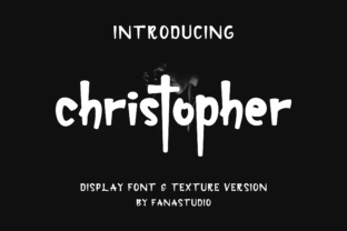 Understanding Christopher: A New Era in Digital Creativity and Business
