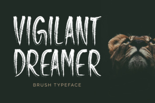 Vigilant Dreamer