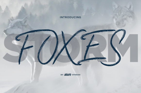 What Are Foxes?